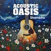 Shambhu Acoustic Oasis (CD)