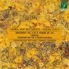 Massimiliano Motterle / Casanova Fabiano - Beethoven/liszt: Symphony No. 9 In...