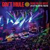 Gov't Mule - Bring On The Music Live At The Capitol Theatre - 2 Cd