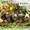 BENELIC My Neighbor Totoro Mystery Ring Totoro Blind Box Display (6) Benelic