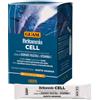 LACOTE Srl GUAM BRITANNIA CELL 30BUST NF