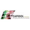 SF GROUP CAPIDOL DERMOGEL 50ML