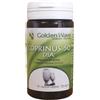 GOLDEN WAVE Srl COPRINUS 50 DIA 60CPS