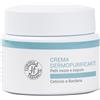FORMULA FARMACIA FORMULA CREMA DERMOPURIFIC 50 ML