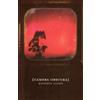 Kathryn Lomer Camera Obscura (Tascabile)