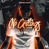 VIDB1 No Ceilings