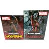 Sega MARVEL COMICS Wolverine Daredevil Figure Set di 2 Luminasta SEGA Prize 2023