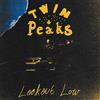 Twin Peaks Lookout Low (Vinyl LP)