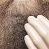 Neil Cowley Trio Touch and Flee (CD) Album