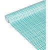 Clairefontaine 223870C Piccoli rotoli Carta80g, Tiny Rolls 5x0,35m, Righe