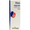 BOIRON SRL RIBES NIGRANULIUM TINTURA MADRE 60 ML