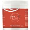 SPAZIO ECOSALUTE Sali Di Epsom Polvere Integratore Di Magnesio 500 G