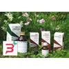 CHEMI SRL RAEMIL PRIMULA OLIO 25 ML