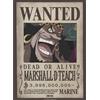 GB eye - Poster One Piece Wanted (WANTED Marshall D Teach)