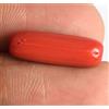 Naturale Cilindrico Italiano Corallo Ottimi Luster Gemma 5.25 KT Certificato