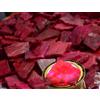 Naturale Africano 2000 CT Rosso Rubino Gemma Fondo Grezzo Esemplare Lotto AD2016