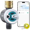 RAINPOINT Centralina Irrigazione con Ingresso in Ottone, Bluetooth Computer Irrigazione Automatica con 2 Modalità di Irrigazione, Smart APP Telecomando Timer Irrigazione per Prato Giardino