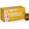 MONTEFARMACO OTC SpA Vitalmix, Pappa Reale, 10 Flaconcini