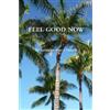 Katherine Pierce Chinelli Feel Good Now (Tascabile)