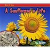 Nancy Dickmann Watch it Grow Sunflowers Life (Tascabile)