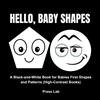 Press Lab Hello, Baby Shapes (Tascabile)
