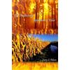 Larry L. Osborn The Productivity Approach to Value (Tascabile)