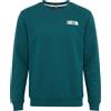 THE NORTH FACE - Felpa - Verde smeraldo