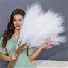 FOTEEWL erba della pampa artificiale, decorazione grande, 96,5 cm, 8 pezzi, 96,5 cm, colore: bianco