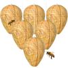 TENGMEIHUIO 6pcs Falso nido di vespa Finto Nido di Vespe di nido di vespe artificiali nido di calabroni NidoVespe Esca Appeso Impermeabili Efficace Deterrente per la Casa e il Giardino Esterno (A)