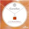 Bixorp Collana in Argento Sterling 925 Placcato Oro - con Ciondolo a Cubo in Pietra Preziosa - Collana Chakra da Donna - Regolabile 45 cm + 5 cm