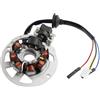 Undwjl Bobina Magneto Statore Per 2 Tempi 50cc 1PE40QMB Jog Minarelli 5 Fili Magneto Statore Scooter ATV Ciclomotore