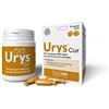 Innovet Urys® Cur 30 capsule, per le vie urinarie dei cani e dei gatti