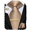 Hi-Tie Set di cravatta e spilla da uomo, Champagne B, M