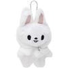 Generic Stays Fans - Portachiavi in peluche SKZ da 10 cm, 3° bambola da riunione con mantello staccabile (Leebit)