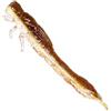 Westin Odonata Ned Creaturebait - 4 esche in gomma, 6,5 cm, 2 g, colore: Brown Shiner