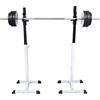 Ziaphsol Set di supporti per manubri in acciaio, regolabili in altezza, 12 livelli, 50 x 48 x 107 fino a 165 cm, portata 80 kg, per panca per manubri, squat rack e palestra a casa