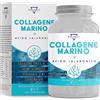 BALANCE NUTRITION COLLAGENE MARINO - 200 Compresse (fino a 7 mesi di fornitura) Collagene e Acido Ialuronico | Collagene di tipo I, II e III con Complex di 7 attivi, Vitamina C e Coenzima Q10