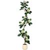 GarveeLife Piante artificiali grandi da 210 cm, magnolia artificiale in vaso, pianta artificiale con fiori di magnolia, facile da pulire, decorazione per soggiorno, ufficio, esterni e interni