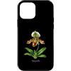 The Botany Bureau Custodia per iPhone 12 mini Illustrazione della pianta dell'orchidea pantofola della signora Paphiopedilum