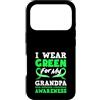 Non-Hodgkin Lymphoma Cancer Awareness Su Custodia per iPhone 17 Pro Indosso il verde per mio nonno linfoma non Hodgkin