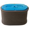 Stens 102218 - Filtro dell'aria Combo sostituisce Honda 17211ZF5V01 17218ZF5V00 Napa 708352