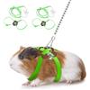 CQJ 2 pettorine regolabili con guinzaglio per criceti, furetti, conigli, ratti e topi, con campanello, verde