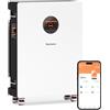 Humsienk Batteria LiFePO4 48V 314Ah, Batteria accumulo fotovoltaico 16.07KWH con integrata 200A BMS e display LCD,8000+ cicli, Accumulo di energia a parete per sistema solare,fotovoltaico,off-grid