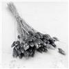 Enchanted Dekogras - Erba secca decorativa per canarini, fiori secchi, naturale, boho, circa 100 pezzi, 80 g, argento