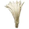 LONDGEN 50 piume di coda di gallo naturale, 30,5-35,6 cm, per spettacoli teatrali e decorazioni per costumi (bianco sporco)