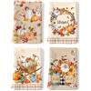 Arquiel Strofinacci Cotone 100% Zucca Rustica, Set 4