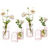 Hewory - Vaso piccolo rosa a forma di bocciolo, 6 pezzi, trasparente, cilindrico, in vetro, per fiori, set di vasi moderni a stelo singolo