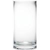 OASIS Vaso cilindrico alto 20 cm in vetro trasparente