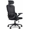 SIHOO Sedia da ufficio, sedia da scrivania ergonomica, sedia girevole con supporto lombare regolabile M102C