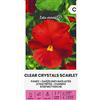 Žalia stotelė Zalia stotele | VIOLA DEL GIARDINO - CRISTALLI SCARLATI CHIARI Semi | Semi di fiori | Semi di piante | Semi da giardino | 1 pacchetto